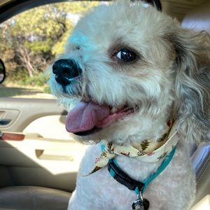 Meet your Posher, Charlotte